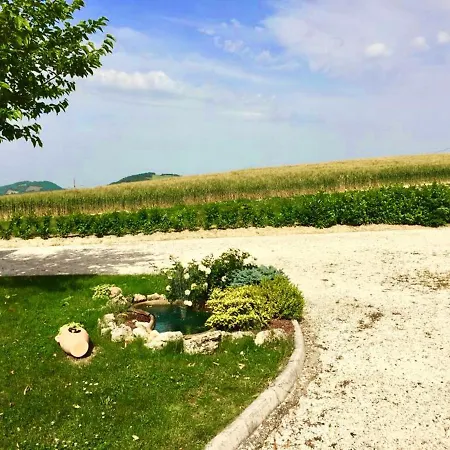 Da Eli San Pietro (Ancona)