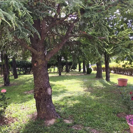 Apartamento Da Eli San Pietro (Ancona)